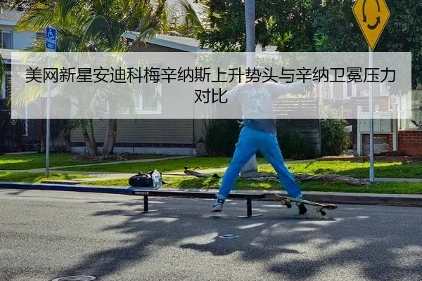美网新星安迪科梅辛纳斯上升势头与辛纳卫冕压力对比