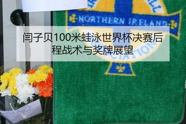 闫子贝100米蛙泳世界杯决赛后程战术与奖牌展望