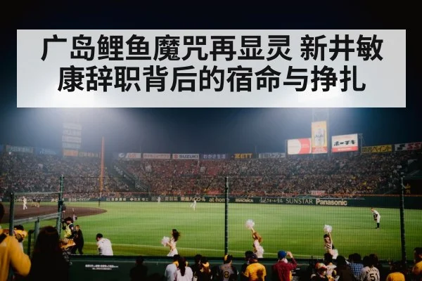 广岛鲤鱼魔咒再显灵 新井敏康辞职背后的宿命与挣扎